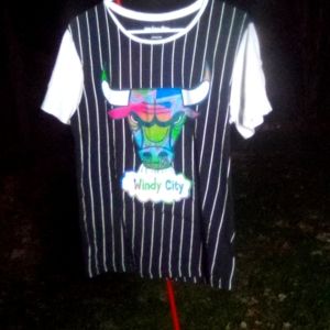 We Love Fine Hardwood Classics Windy City NBA Ref